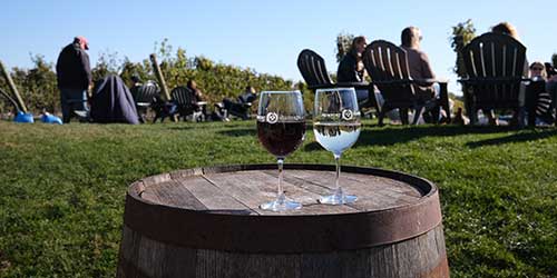 Wine glasses overlooking the outdoor lawn and vineyard seating area at Newport Vineyards in Rhode Island.