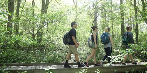 Visitors hiking along a wooded nature trail at Norman Bird Sanctuary in Newport, Rhode Island.