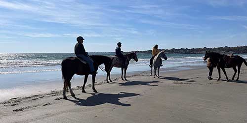 Horseback riders enjoying a guided beach trail ride along the Newport shoreline.