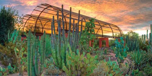 The Sybil B. Harrington Cactus and Succulent Gallery at the Desert Botanical Garden